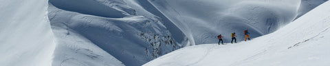 Ed Hepp Collection