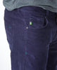 orion blue