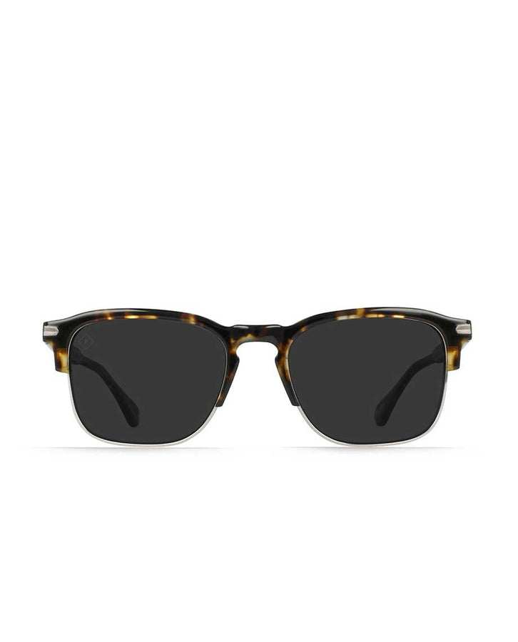 brindle tortoise/smoke polarized