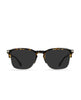 brindle tortoise/smoke polarized