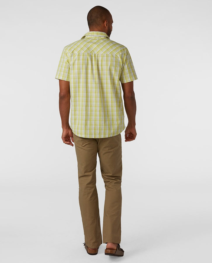 Forage Green Plaid
