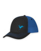 dark grey/neon blue